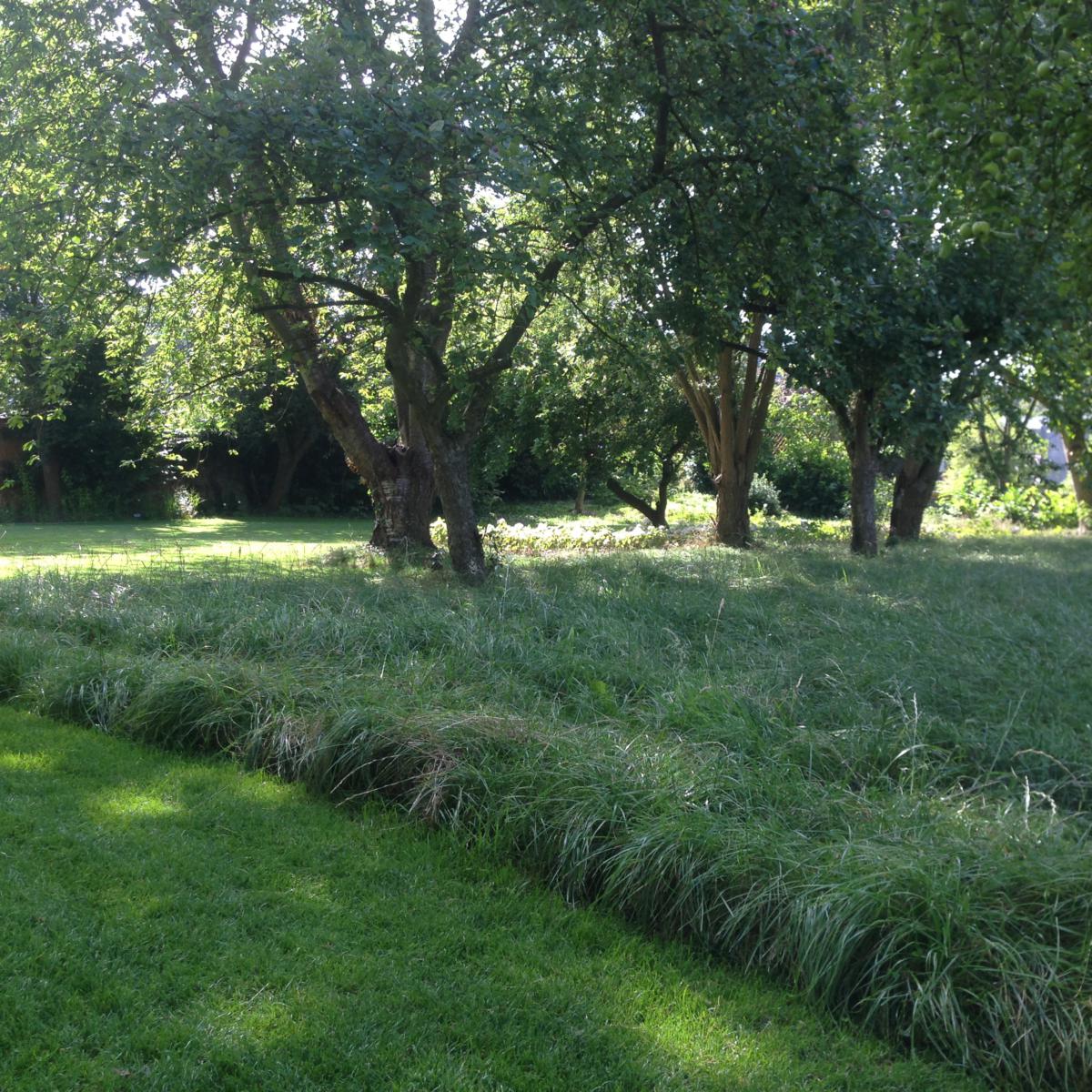 pastorij tuin te denderwindeke